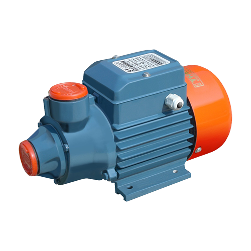 Electric Water Transfer Pump